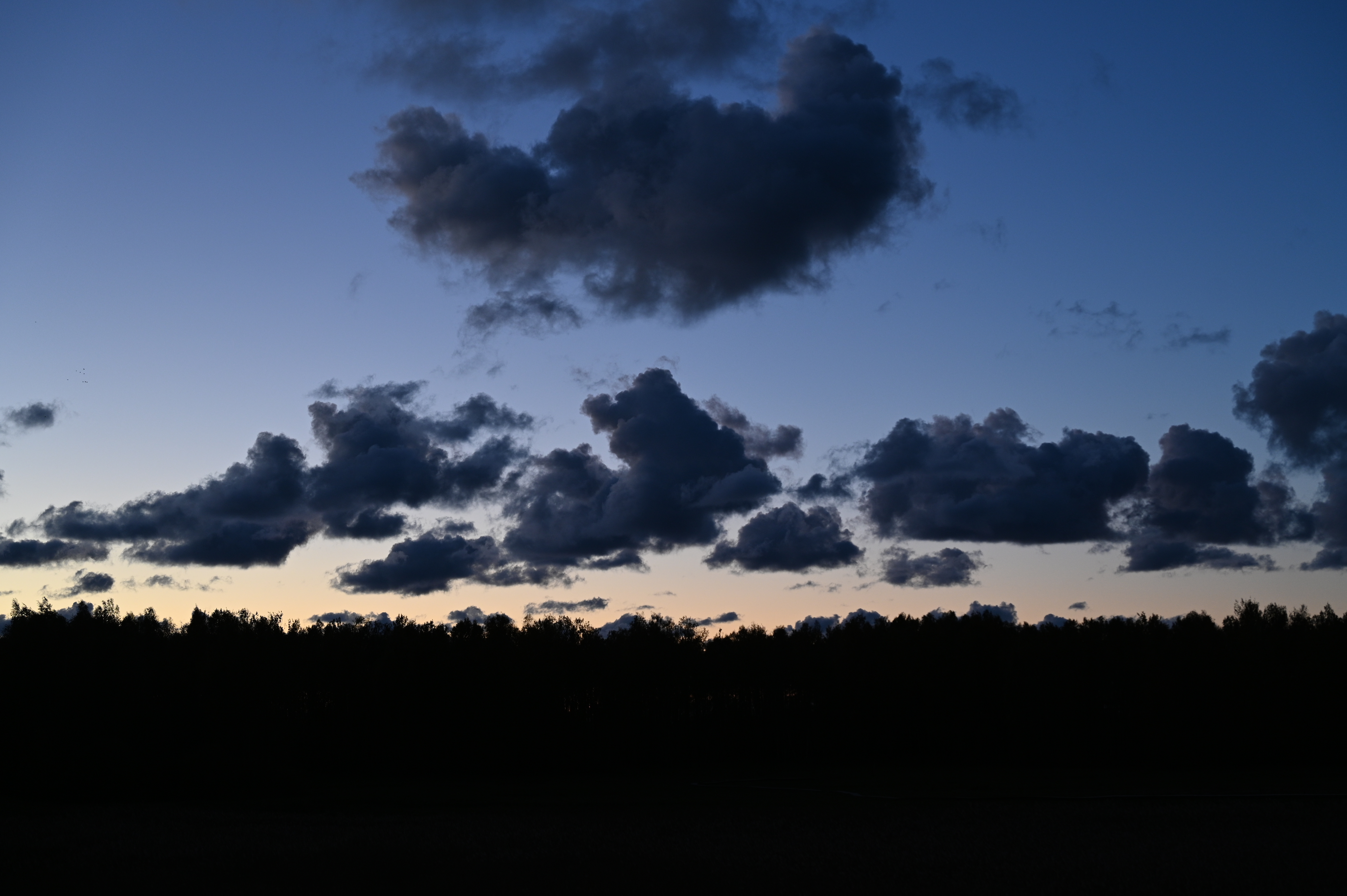 2025/10/18 - walk/DSC_0635.JPG